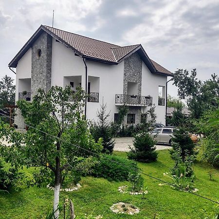 Pensiunea Codruta Cărpinişu Екстериор снимка