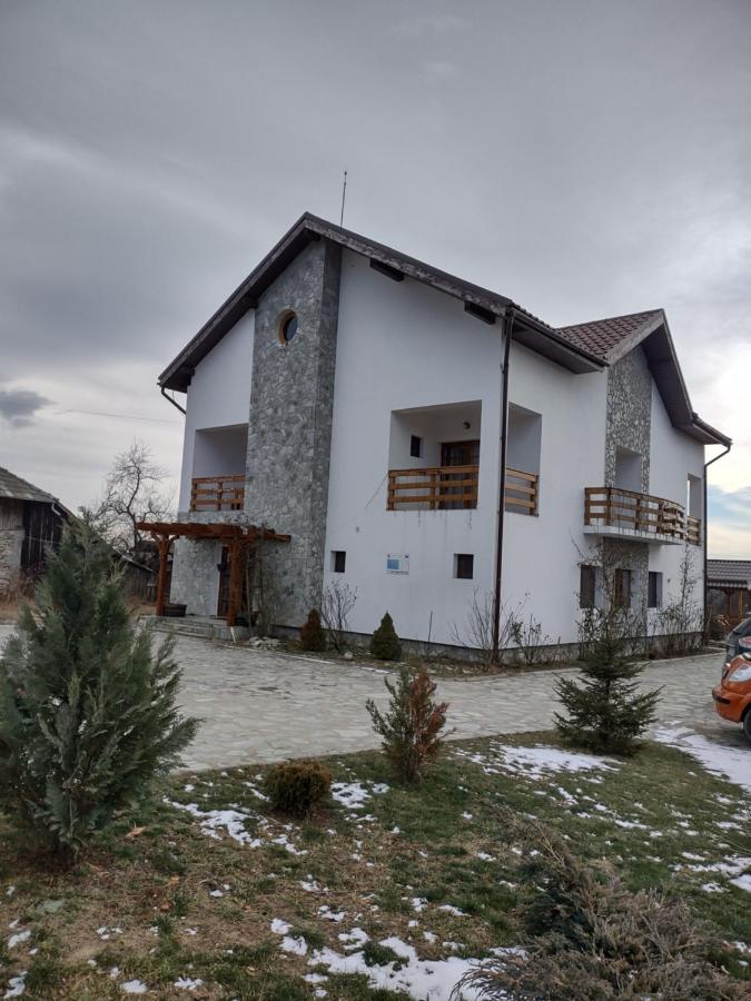 Pensiunea Codruta Cărpinişu Екстериор снимка
