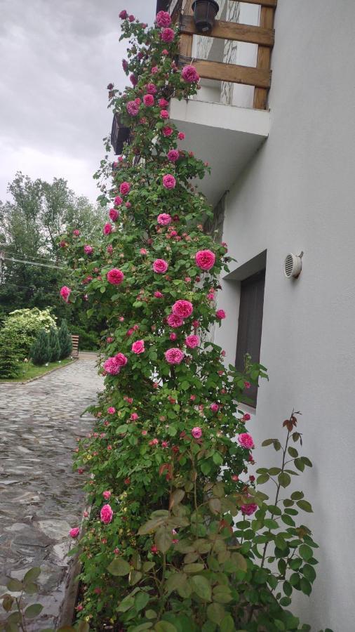 Pensiunea Codruta Cărpinişu Екстериор снимка