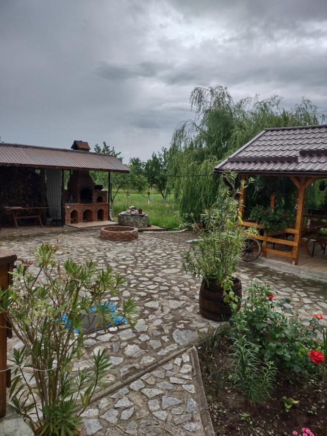 Pensiunea Codruta Cărpinişu Екстериор снимка