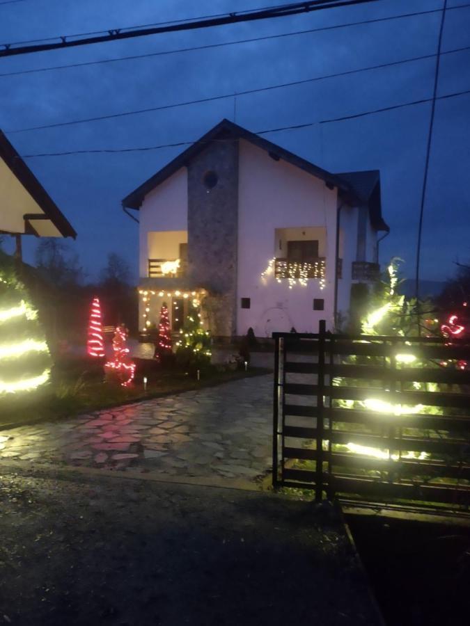 Pensiunea Codruta Cărpinişu Екстериор снимка
