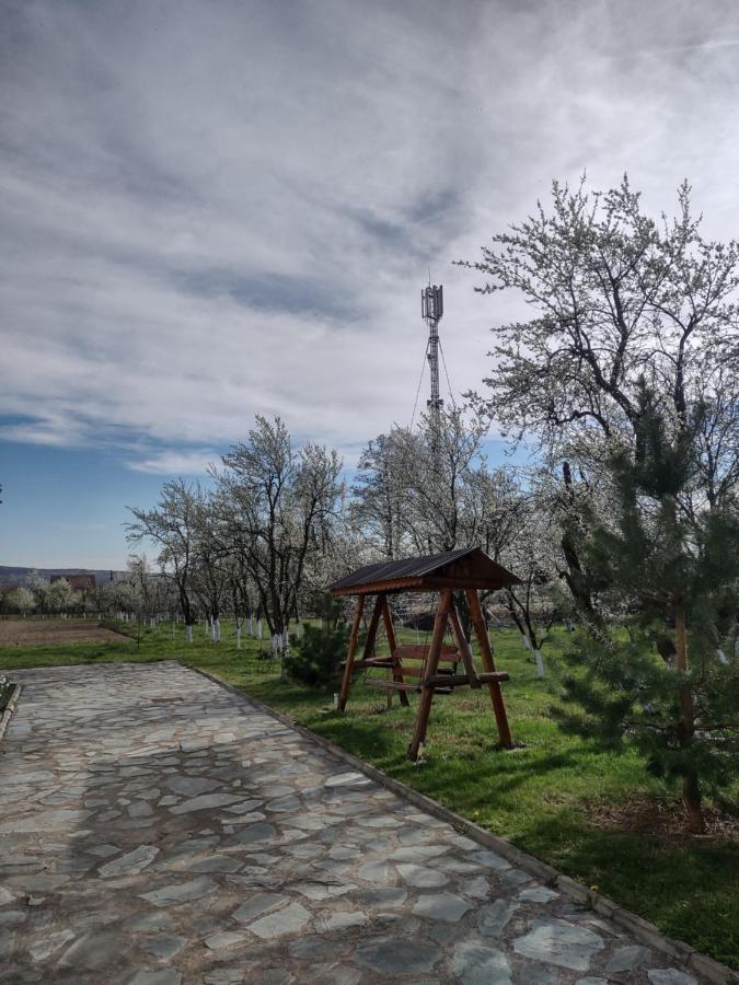 Pensiunea Codruta Cărpinişu Екстериор снимка