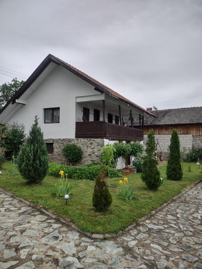 Pensiunea Codruta Cărpinişu Екстериор снимка