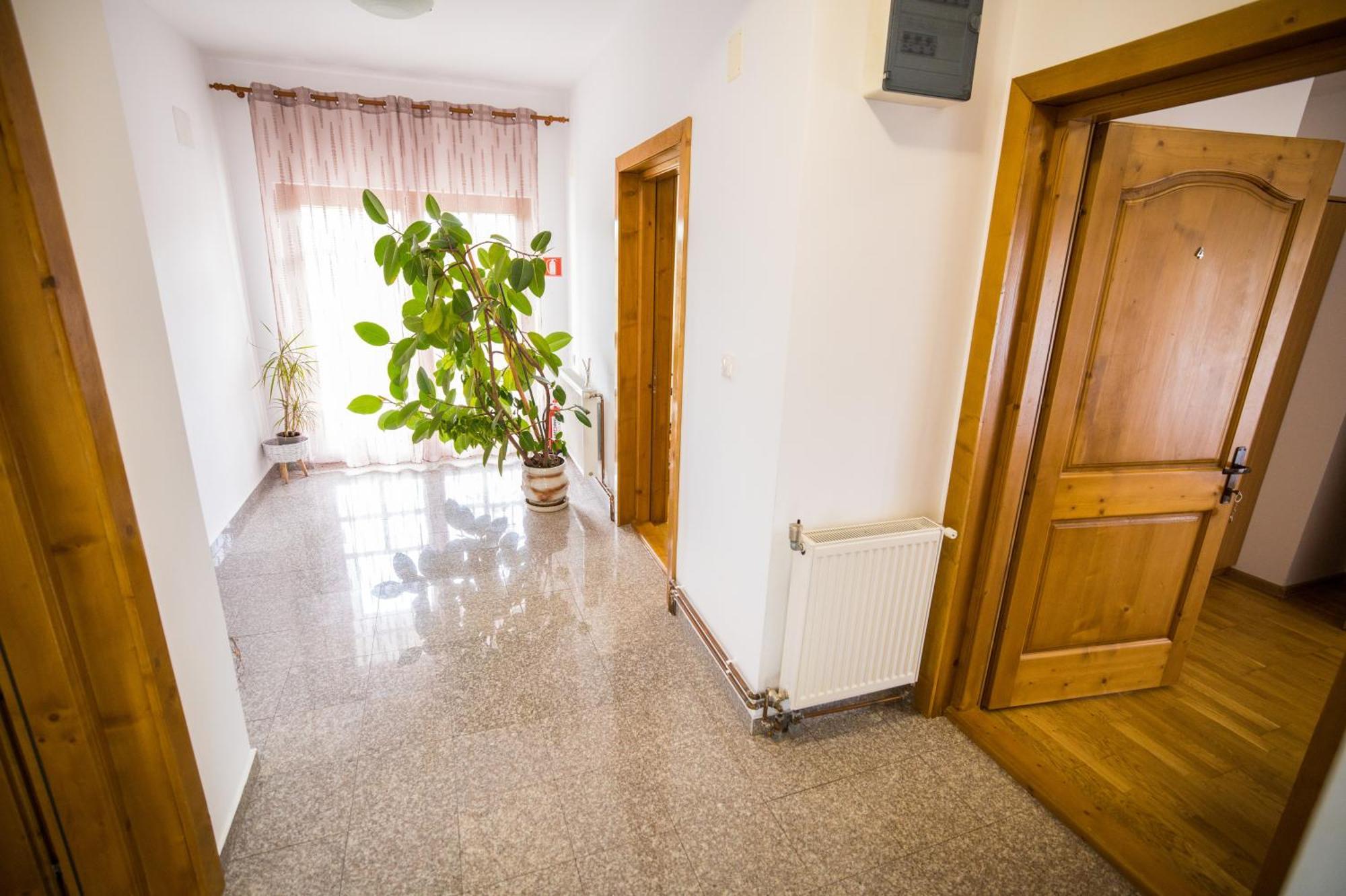 Pensiunea Codruta Cărpinişu Екстериор снимка