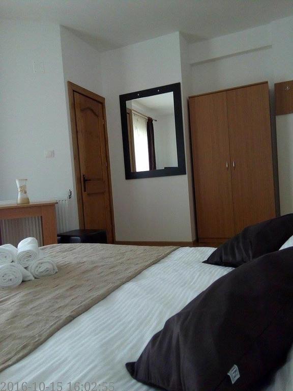 Pensiunea Codruta Cărpinişu Екстериор снимка