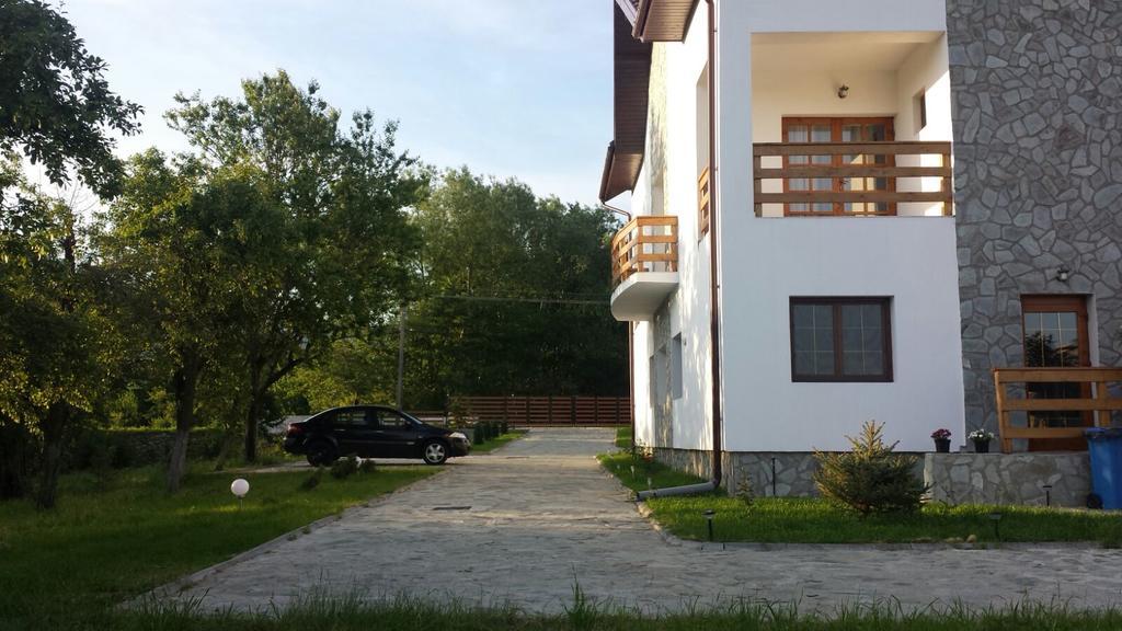 Pensiunea Codruta Cărpinişu Екстериор снимка