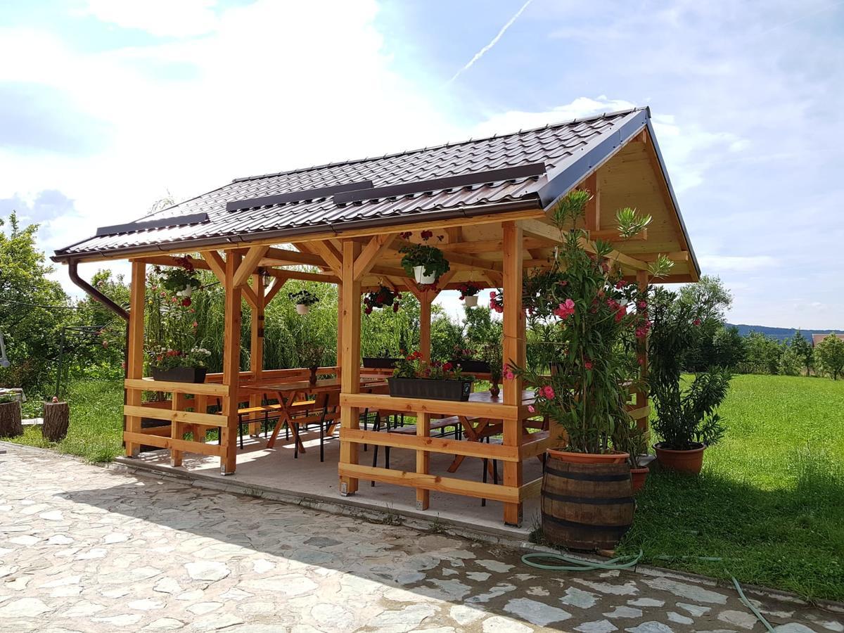 Pensiunea Codruta Cărpinişu Екстериор снимка