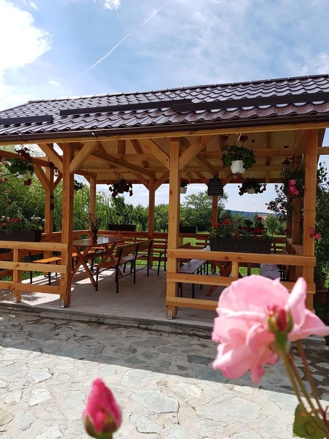 Pensiunea Codruta Cărpinişu Екстериор снимка